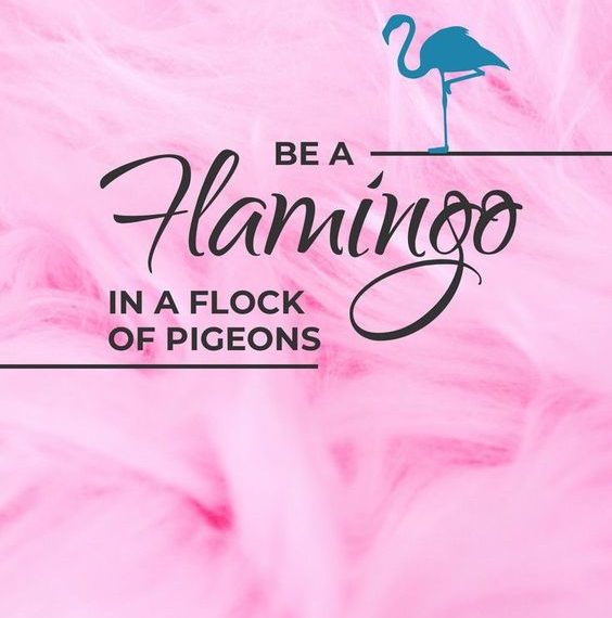 Happy National Flamingo Day Basically B
