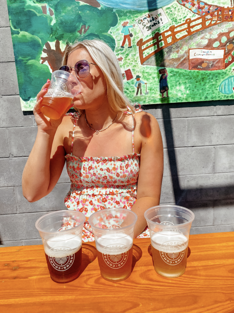 Illinois Brewery Guide Best Places To Drink Beer In Illinois